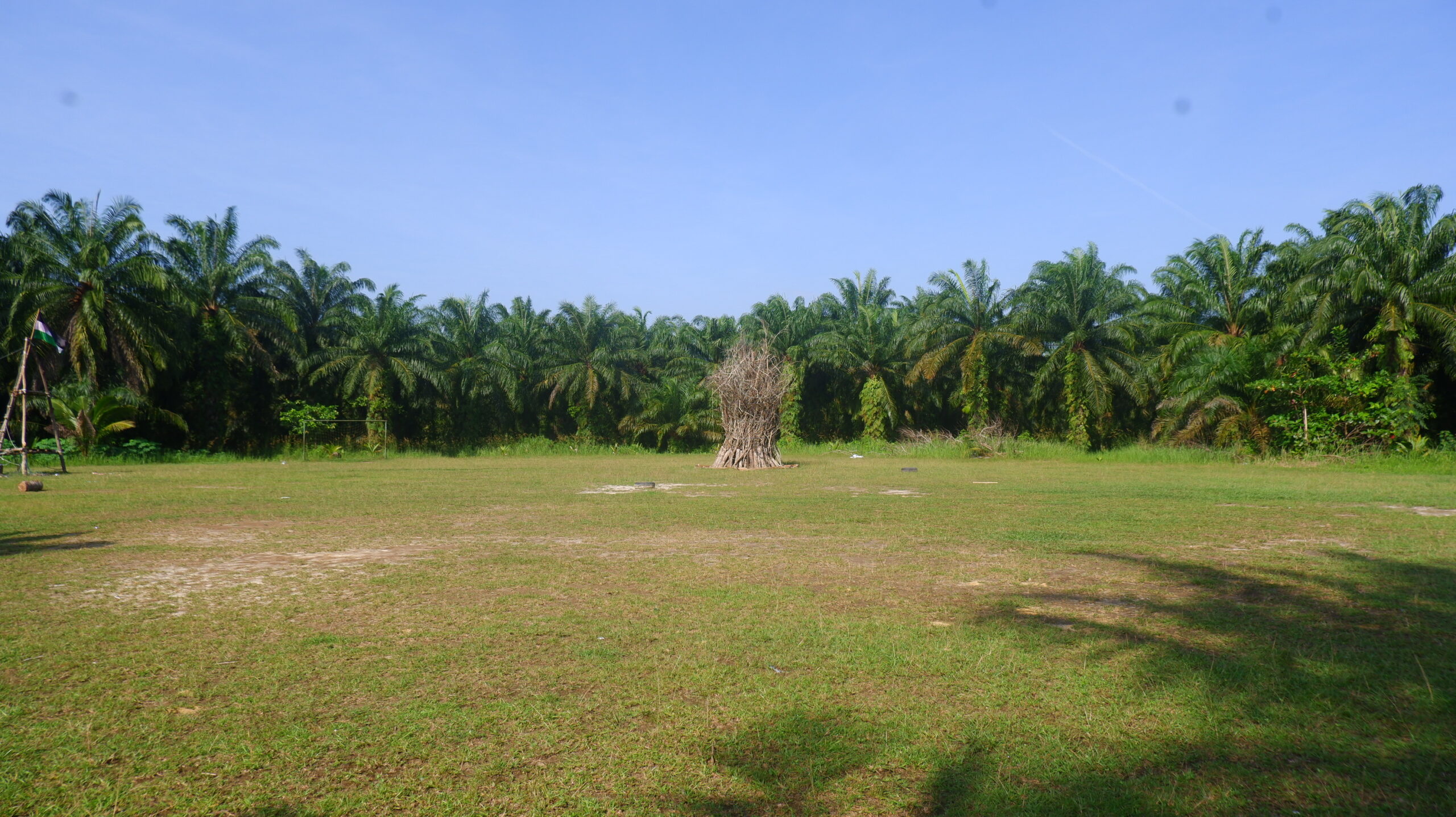 DSCF3917